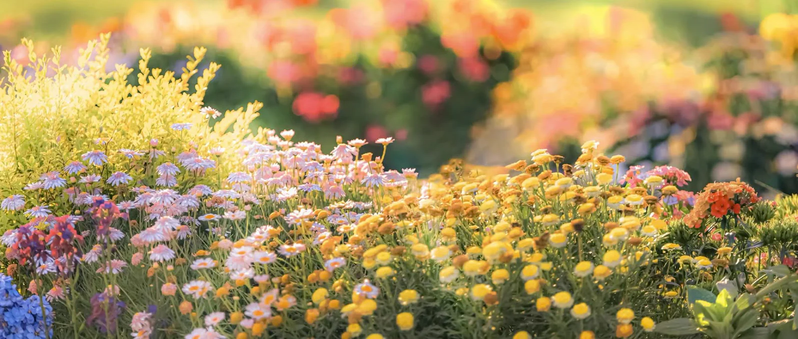 Breathe Life Into Your Home